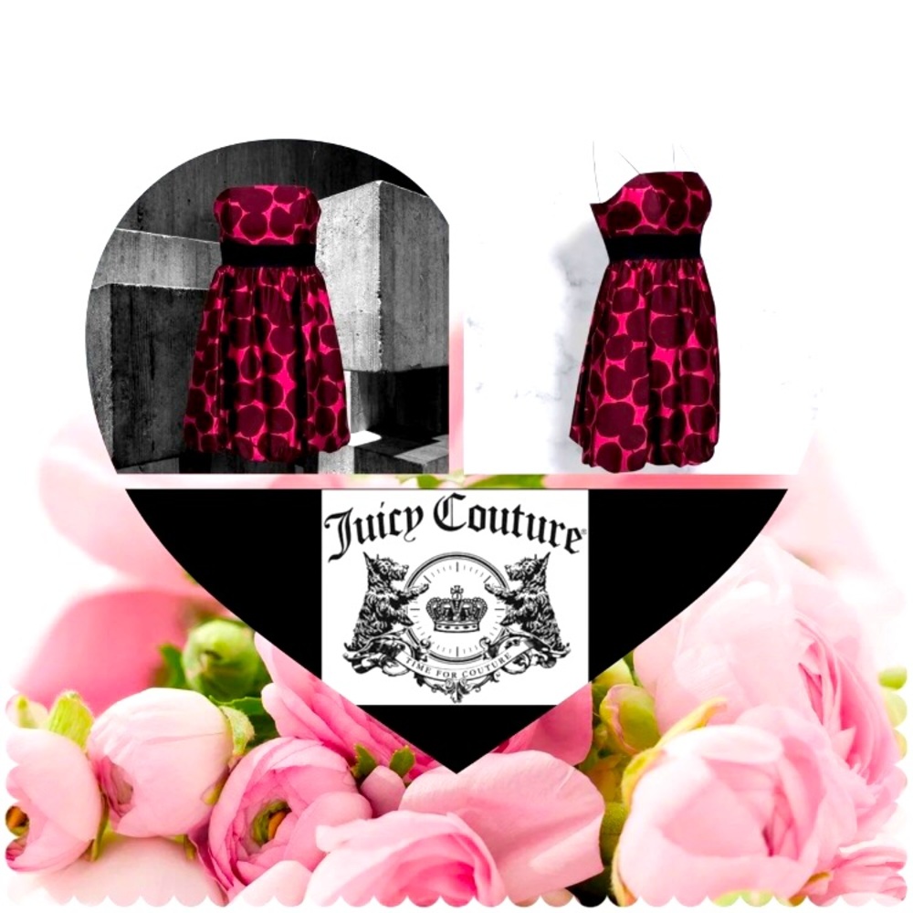 🏷BOGO🆓•JUICY COUTURE Silk Dress / 2